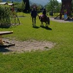 phoca_thumb_m_ponk 8 Fotogalerie